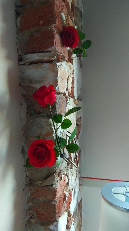 Bed and Breakfast Le Rondini Di San Donato Lukka Zewnętrze zdjęcie