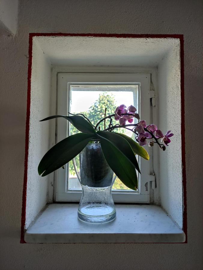 Bed and Breakfast Le Rondini Di San Donato Lukka Zewnętrze zdjęcie