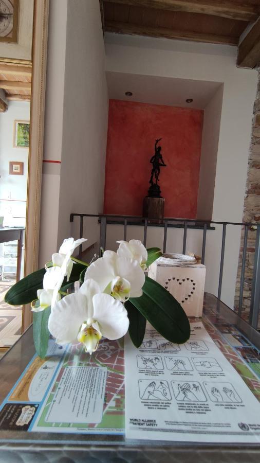 Bed and Breakfast Le Rondini Di San Donato Lukka Zewnętrze zdjęcie
