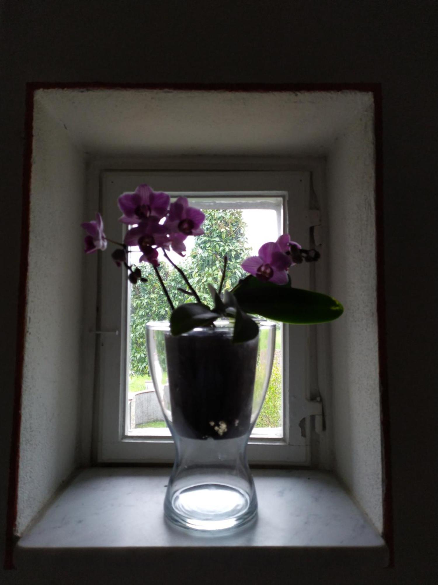 Bed and Breakfast Le Rondini Di San Donato Lukka Zewnętrze zdjęcie